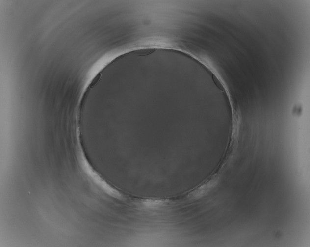 X0000111521389200908111152