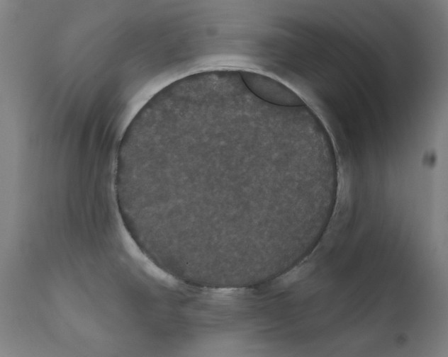 X0000111521390200908111152