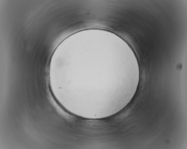X0000111521391200908111152