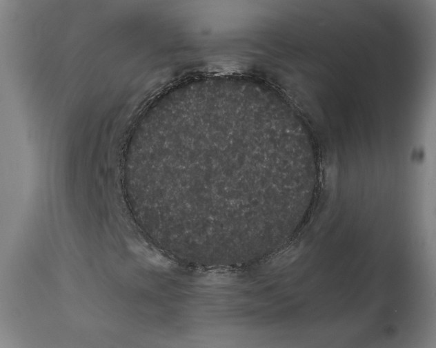 X0000111521393200908111151