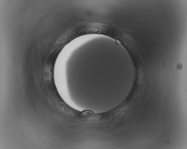 X0000111521394200908111151