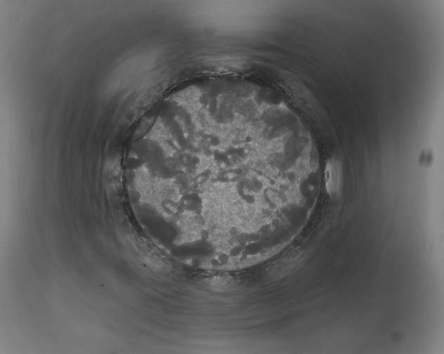 X0000111521395200908111151