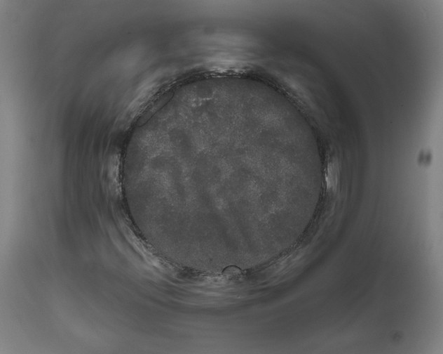 X0000111521396200908111151