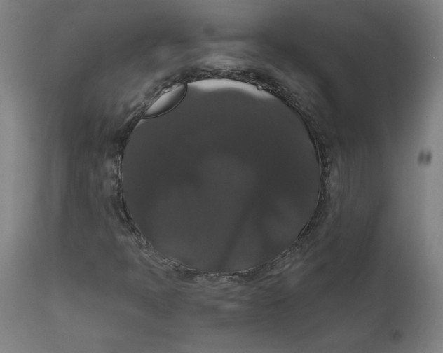 X0000111521397200908111151