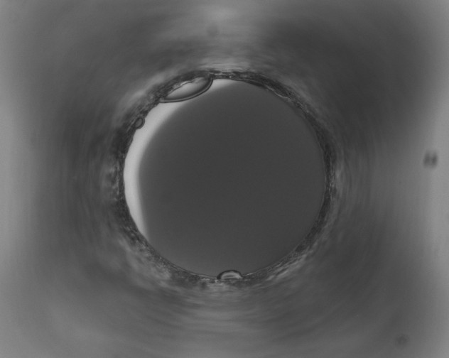 X0000111521398200908111151