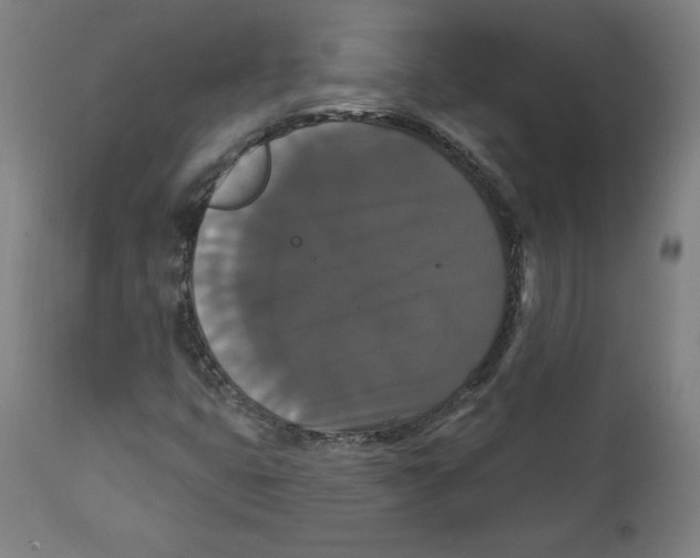 X0000111521399200908111151