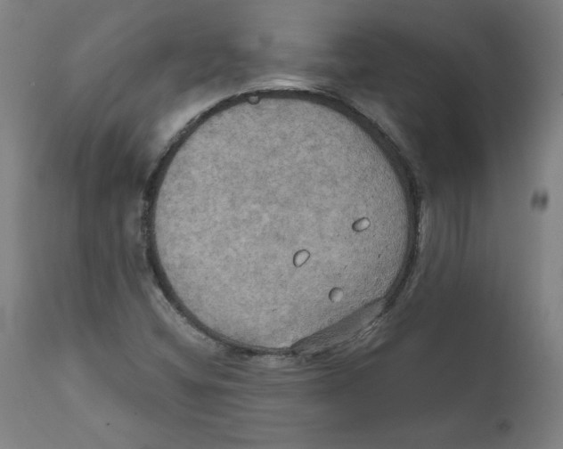 X0000111521404200908111152