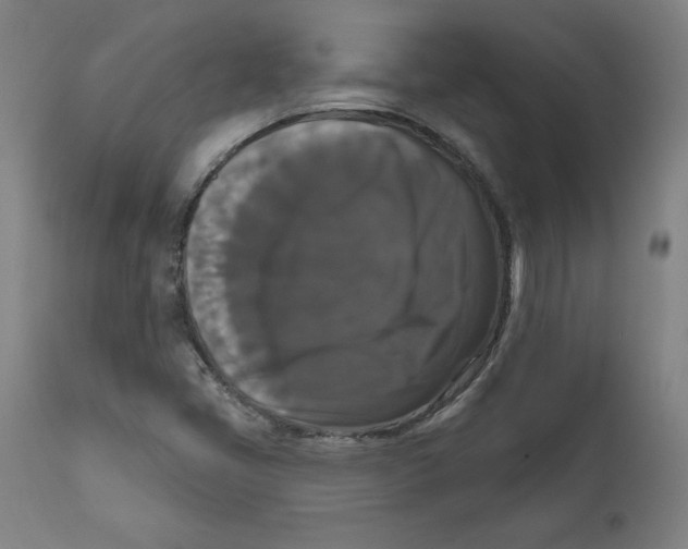 X0000111521405200908111152