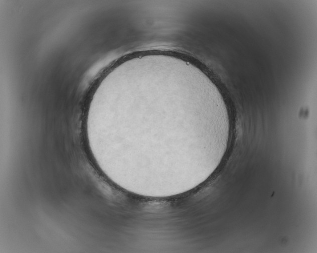 X0000111521406200908111152