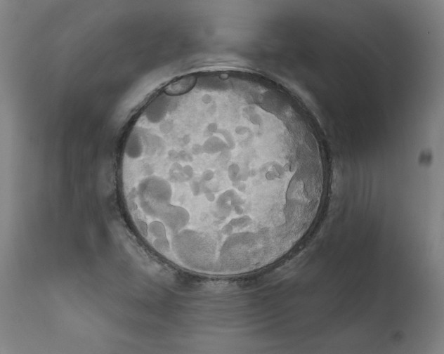 X0000111521407200908111152