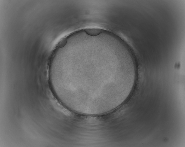 X0000111521408200908111152