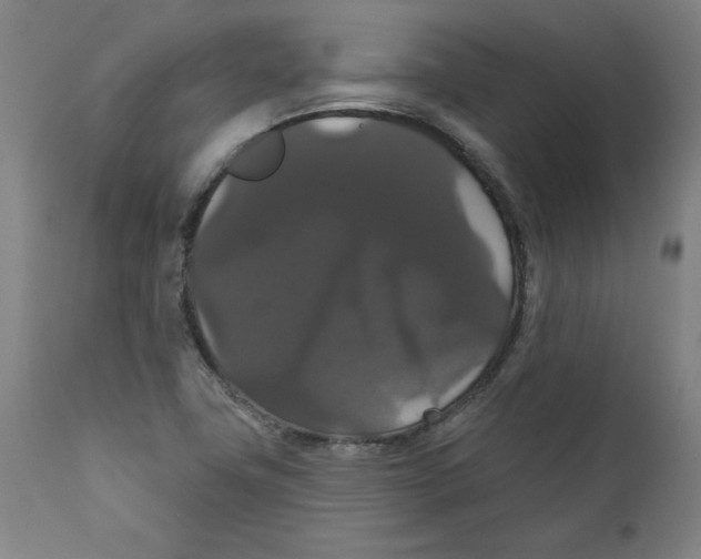 X0000111521411200908111152