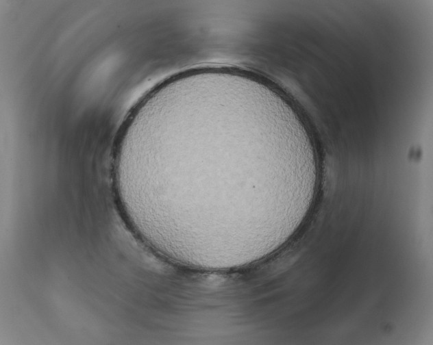 X0000111521412200908111152
