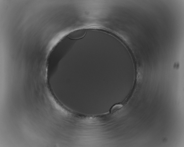 X0000111521414200908111152