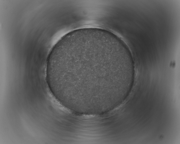 X0000111521415200908111152