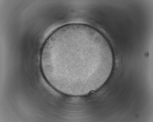 X0000111521416200908111152