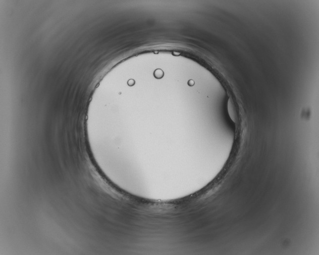 X0000111521417200908111152