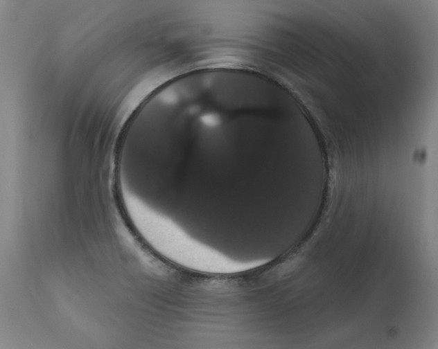 X0000111521418200908111152