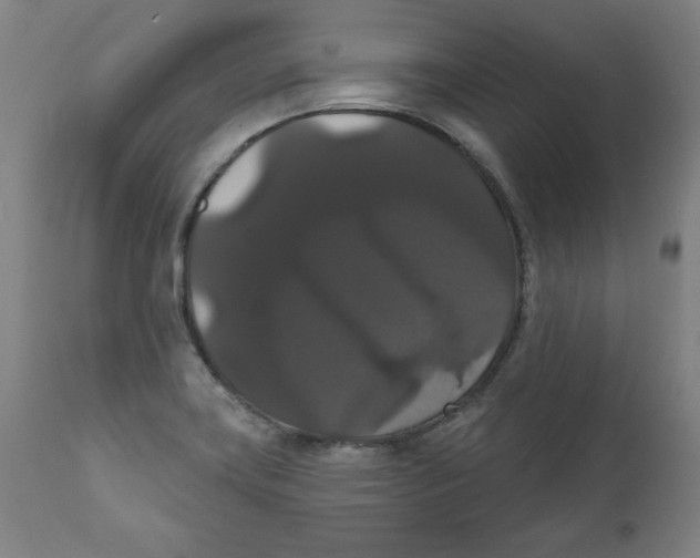 X0000111521419200908111152