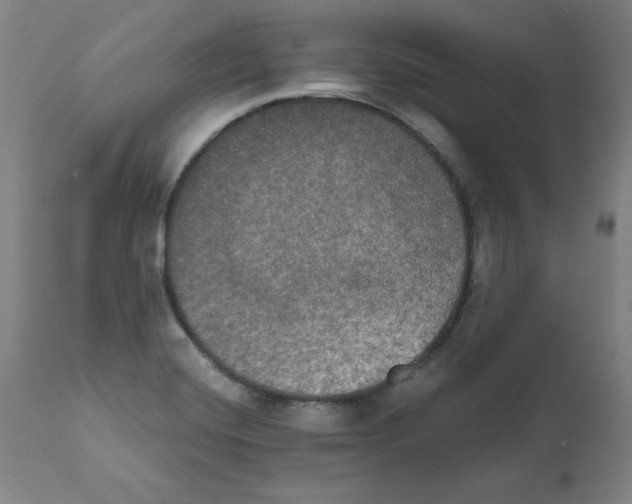 X0000111521420200908111152