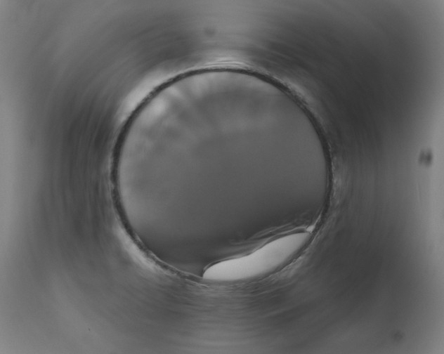 X0000111521422200908111152