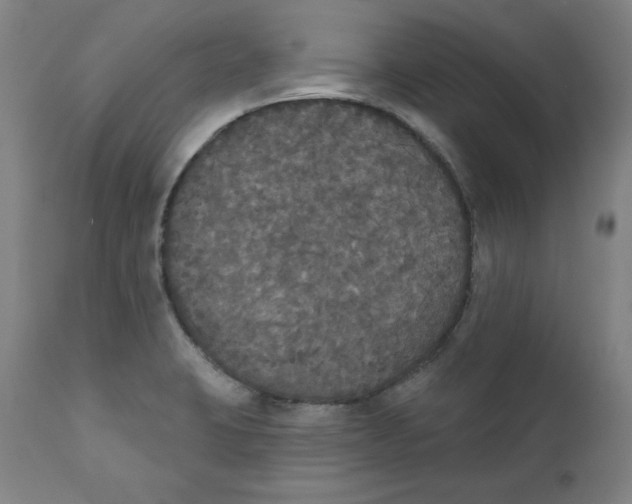 X0000111521423200908111152