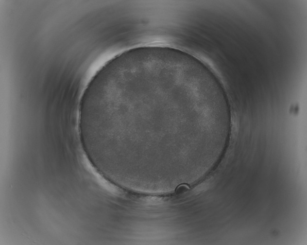 X0000111521424200908111152