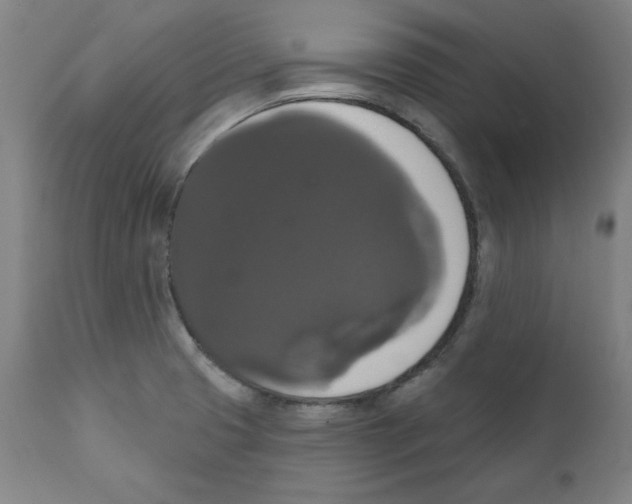 X0000111521425200908111152
