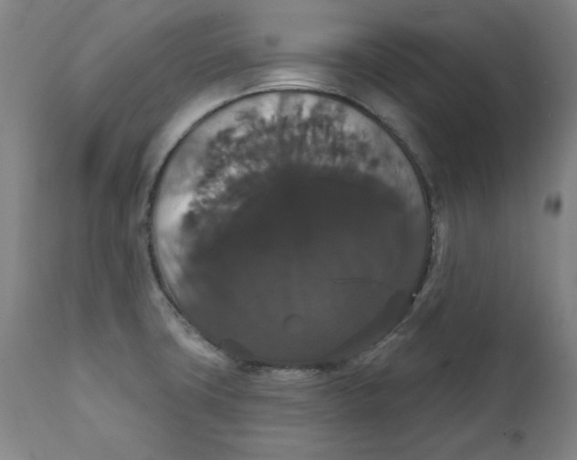 X0000111521427200908111152