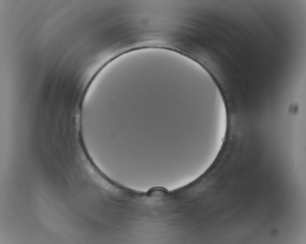 X0000111521428200908111152