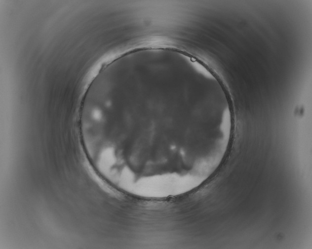 X0000111521429200908111152