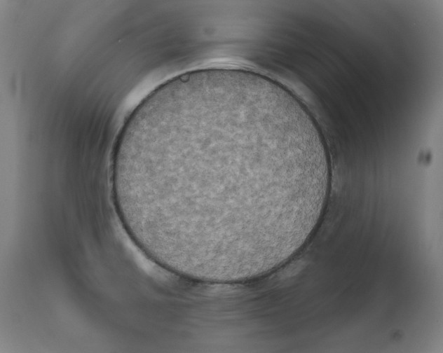X0000111521430200908111152