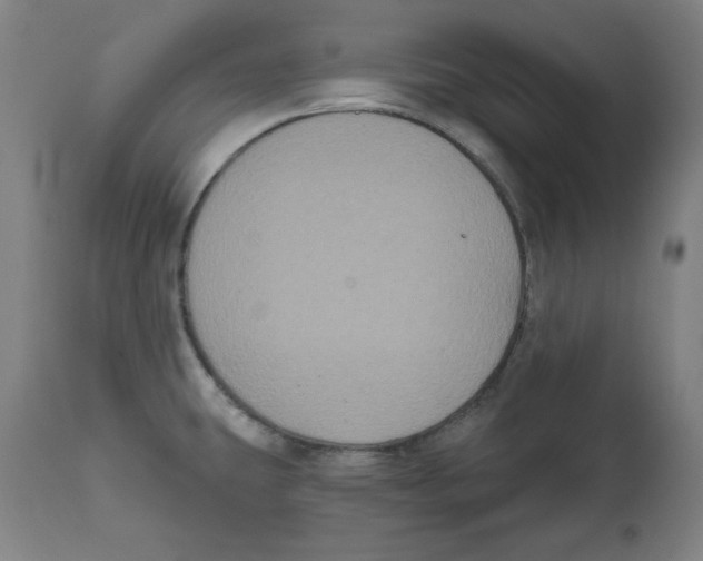 X0000111521431200908111152