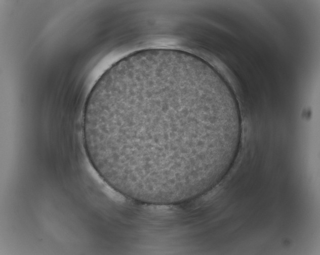 X0000111521432200908111152