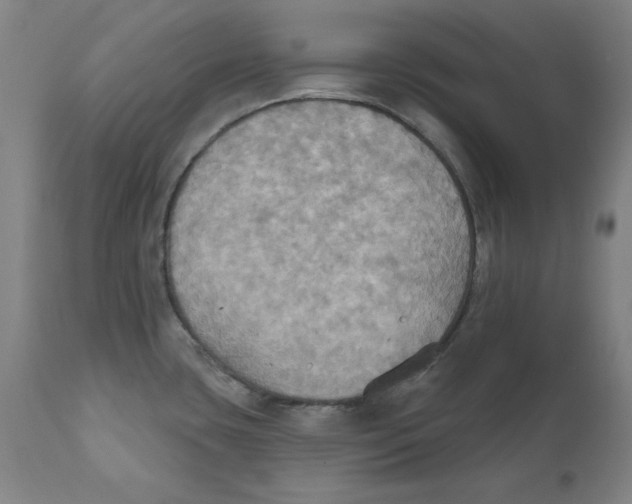 X0000111521435200908111152