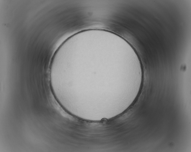 X0000111521436200908111152