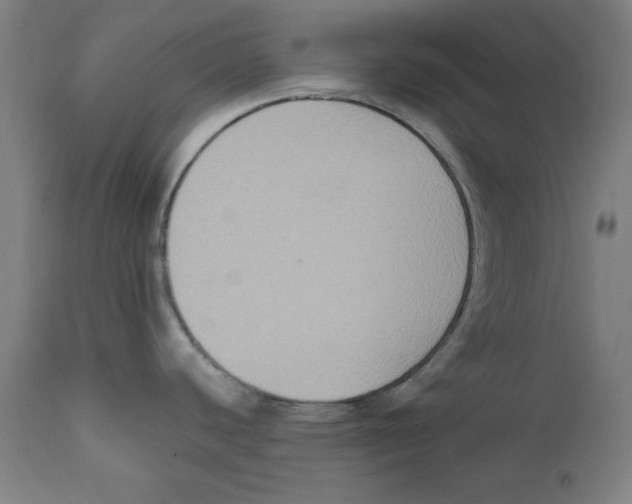 X0000111521440200908111152