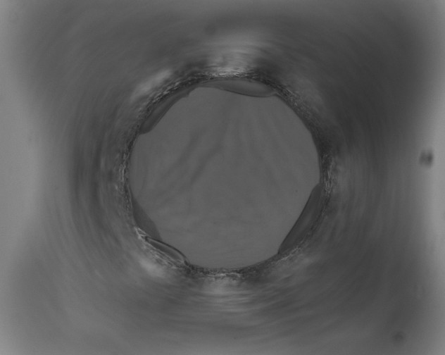 X0000111521441200908111151