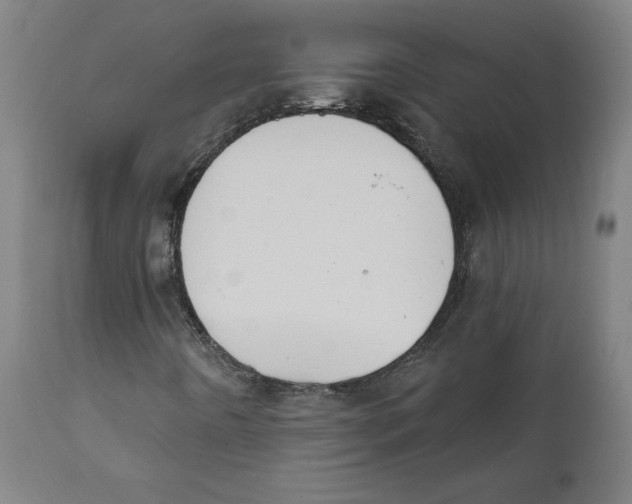 X0000111521442200908111151