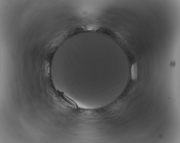 X0000111521443200908111151