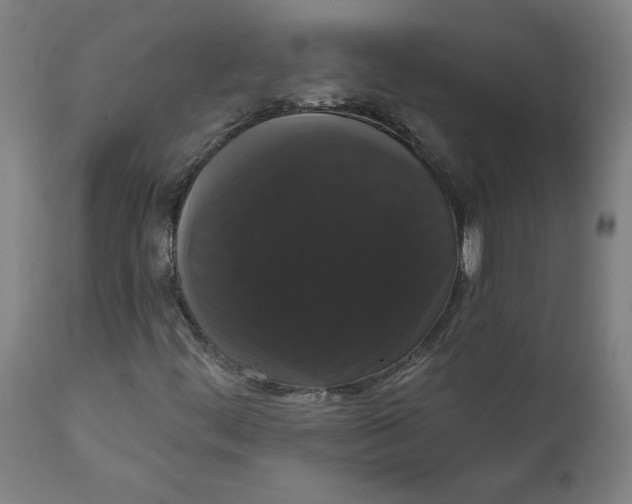 X0000111521444200908111151