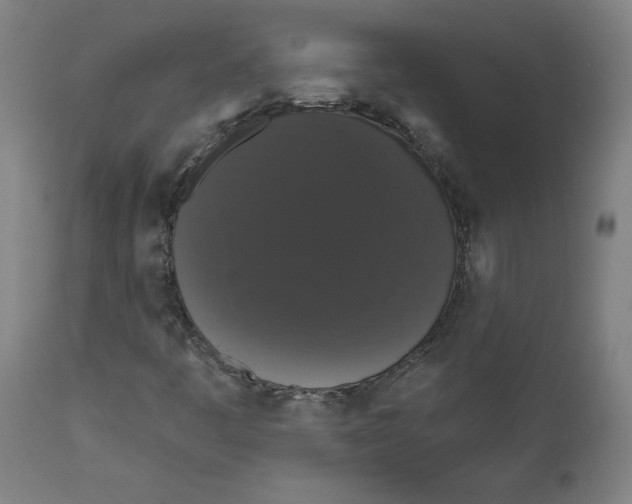 X0000111521445200908111151