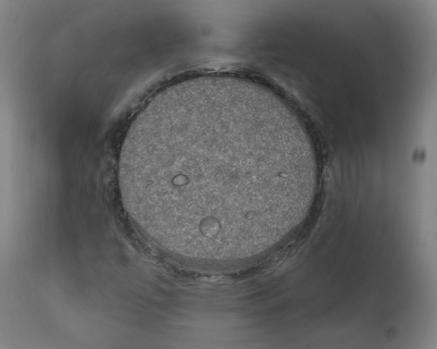 X0000111521447200908111151