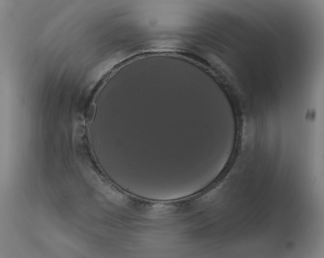 X0000111521449200908111151