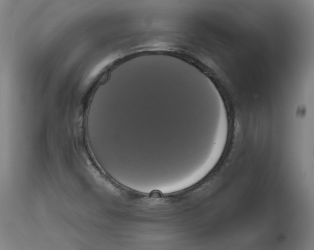 X0000111521450200908111151