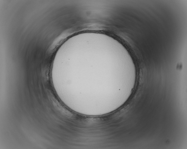 X0000111521451200908111151