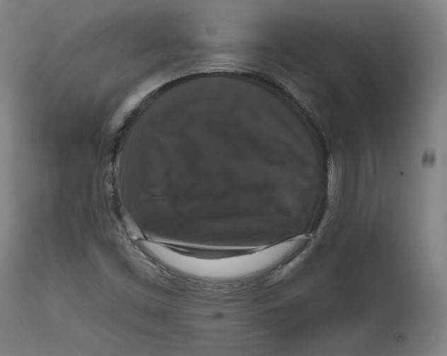 X0000111521453200908111151