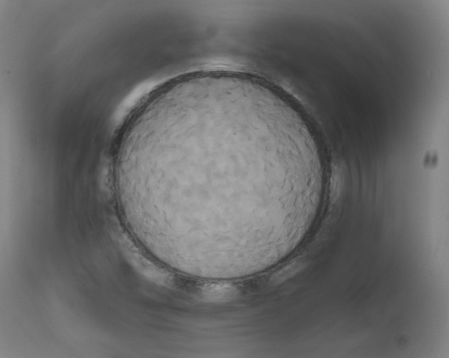 X0000111521454200908111151