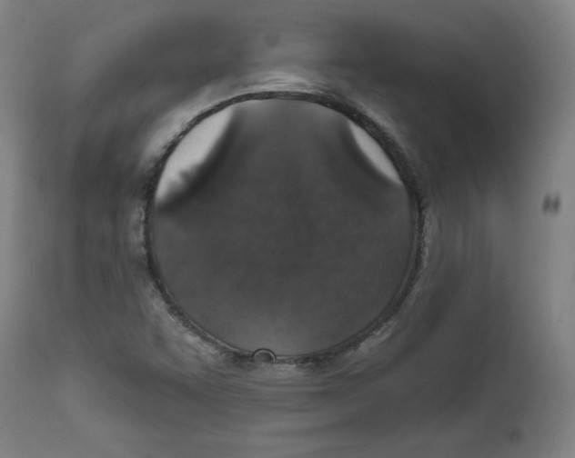 X0000111521455200908111151