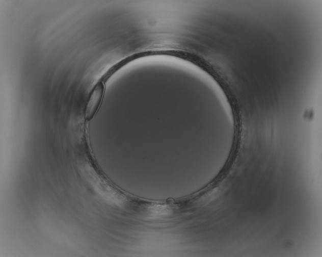 X0000111521457200908111151